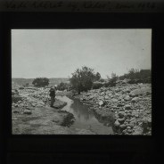 Böhl glass slide 58./1323